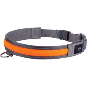 Zoofari LED Verlichte Halsband - maat S 36-40 x 2.7 cm - 3 Verlichtingsfuncties - Oplaadbaar met USB