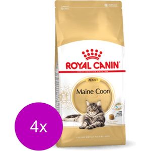 Royal Canin Fbn Mainecoon Adult - Kattenvoer - 4 x 4 kg