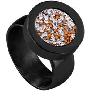 Quiges RVS Schroefsysteem Ring Zwart Glans 20mm met Verwisselbare Zirkonia Goudkleurig Transparant 12mm Mini Munt