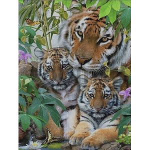 Paintd Diamond Painting Volwassenen Kinderen - Tijger Jungle Natuur Vlinder - 30x40 - Vierkante steentje