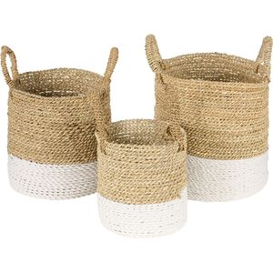 Woonexpress Mand (set 3 Stuks) Roti - Zeegras - Naturel