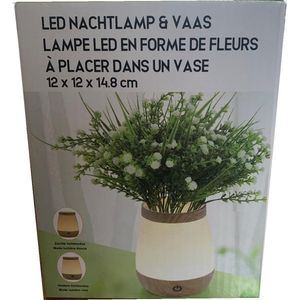 LED nachtlamp & vaas ø 12 cm | Moederdag cadeautje