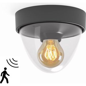 laten we het doen weten Neuken Plafond - Buitenlamp met sensor kopen? | Laagste prijs | beslist.nl