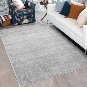 Flycarpets Felta Modern Effen / Laagpolig Vloerkleed - Zilver - 120x160 cm