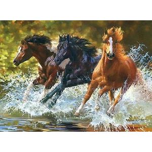 Paint By Numbers Paarden - Schilderen op Nummer - 50x40cm - Volwassenen - Stipco