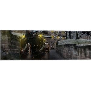 Vlag - Pad - Persoon - Bomen - Huis - Dier - Paarden - Lampen - 60x20 cm Foto op Polyester Vlag