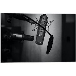 Forex - Microfoon Set - 60x40cm Foto op Forex