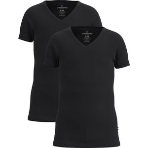 Vingino BOYS T-SHIRT V-NECK (2-PACK) Jongens Top - Maat 158/164