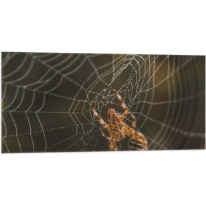 Vlag - Kleine Spin midden in Spinnenweb - 100x50 cm Foto op Polyester Vlag