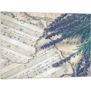 Vlag - Lavendel Planten op Verscheurde Notenbladen - 100x75 cm Foto op Polyester Vlag