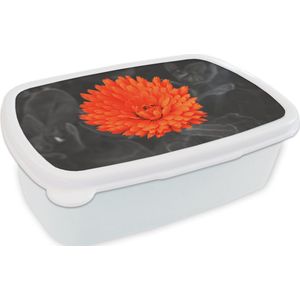 Broodtrommel Wit - Lunchbox - Brooddoos - Bloemen - Oranje - Zwart - Wit - 18x12x6 cm - Volwassenen