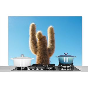 Spatscherm keuken 120x80 cm - Kookplaat achterwand Cactus met blauwe hemel - Muurbeschermer - Spatwand fornuis - Hoogwaardig aluminium