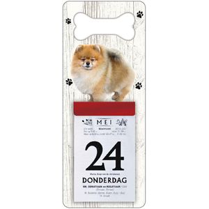 Scheurkalender 2024 Hond: Keeshond Dwerg