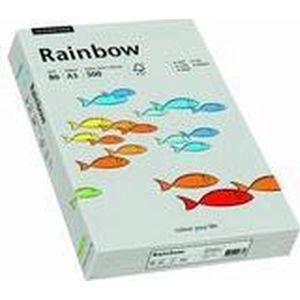 Rainbow gekleurd papier A3 80 gram 96 grijs 500 vel