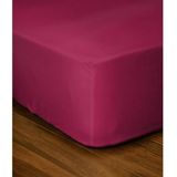 Lovely Home - LH71607 - Verstelbaar Onderlaken - Fuchsia Rose - 180 x 200 + 35 cm