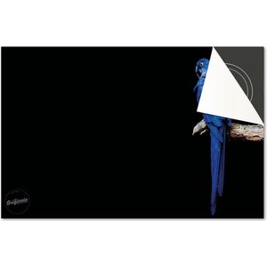 Inductie beschermer 60x60 - afdekplaat inductie mat - Dietrix Kookplaat beschermer - DELUXE - Dieren Papegaai blauw op zwart en tak