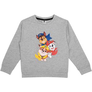 PAW Patrol - Sweater - Grijs - Marshall / Chase / Rubble