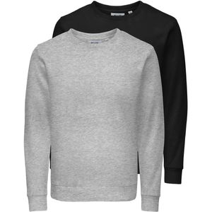 ONLY & SONSONSCHASE REG CREW SWEAT 2-PACK OTLHeren trui
