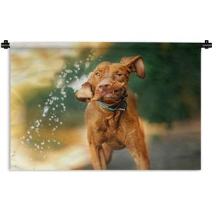 Wandkleed Baby Dieren - Natte hond schudt in het rond Wandkleed katoen 60x40 cm - Wandtapijt met foto