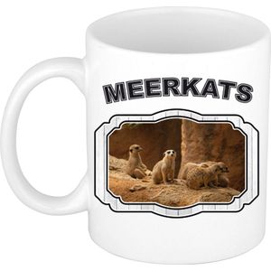 Dieren liefhebber stokstaartje mok 300 ml - kerramiek - cadeau beker / mok stokstaartjes liefhebber
