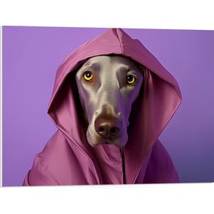 PVC Schuimplaat- Portret van Bruine Duitse Dog Hond in Roze Regenjas - 80x60 cm Foto op PVC Schuimplaat