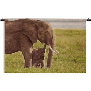 Wandkleed Baby olifant en moeder - Baby olifant bij zijn moeder in Kenia Wandkleed katoen 180x120 cm - Wandtapijt met foto XXL / Groot formaat!