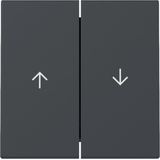 GIRA - Systeem 55 - Bedieningswip - Antraciet - Druk