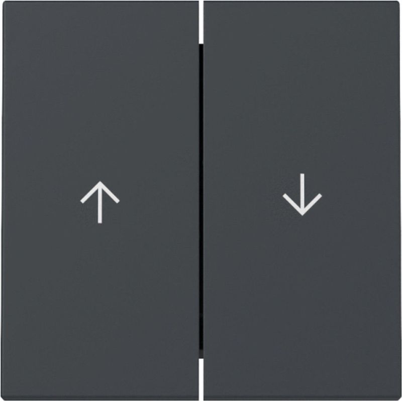 GIRA - Systeem 55 - Bedieningswip - Antraciet - Druk