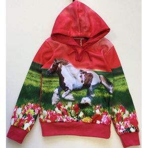 Paarden hoodie blauw f44 -s&C-122/128-Hoodie meisjes