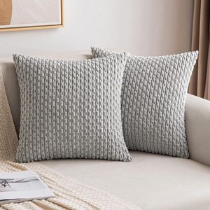 Fluwelen kussensloop - decoratieve kussensloop voor moderne bank - zacht voor woonkamer en slaapkamer - set van 2 - 40 x 40 cm - lichtgrijs .