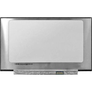 LCD Scherm geschikt voor Lenovo ThinkPad T490 (20N2000QMH)