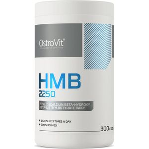 OstroVit - HMB - 2250 mg - 300 capsules - calcium beta-hydroxy beta-methylbutyraat - essentiële aminozuur! - Pure samenstelling & Lab tested!