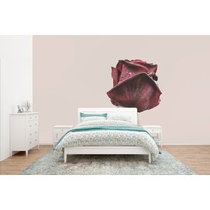 Bloemen - Rood - Rozen - Groen - Behangpapier