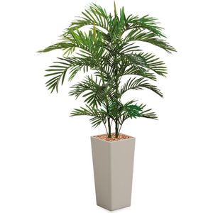 HTT - Kunstplant Areca palm in Clou vierkant taupe H185 cm