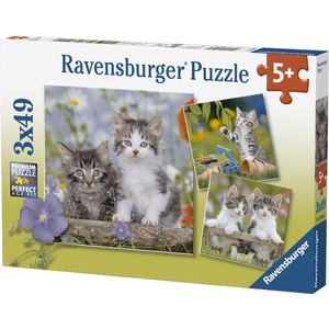 Puzzel Jonge Katjes (3x49 Stukjes) - Ravensburger