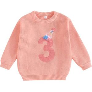 Lange Mouw Verjaardagstrui voor Baby Meisjes - Gebreide Sweatshirt met Borduurwerk