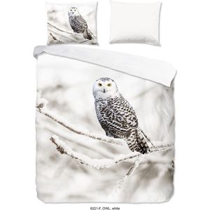 Good Morning Snowy Owl - Flanel - Dekbedovertrek - Lits-jumeaux - 240x200/220 cm - Wit