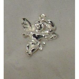 Zilverhanger  van Engel