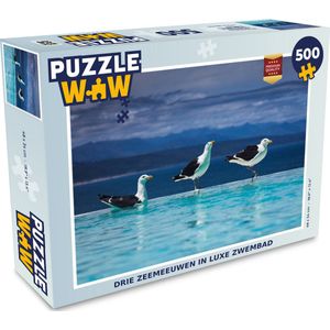 Puzzel Meeuwen - Vogels - Zwembad - Legpuzzel - Puzzel 500 stukjes