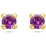 14K Geelgoud - Oorknoppen - Synthetisch Amethist