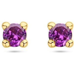14K Geelgoud - Oorknoppen - Synthetisch Amethist