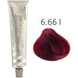 Alfaparf - Evolution of the Color - 6.66 I - Haarkleuring - 60 ml