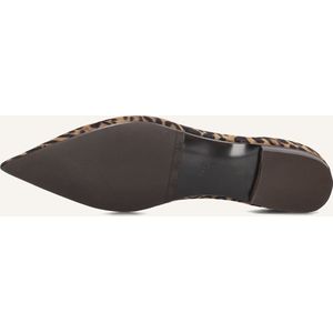 Billi Bi A8024 Ballerina's Dames - Bruin - Maat 39