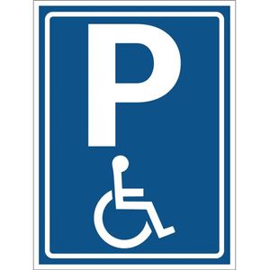 Invalidenparkeerplaats bord - E6 - Dibond - 40 x 30 cm