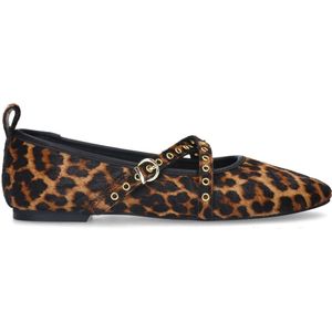 Sacha - Dames - Leopard ballerina's met studs - Maat 38