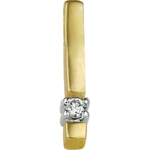 The Jewelry Collection Hanger Diamant 0.05ct H P1 - Bicolor Goud