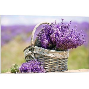 Forex - Mandje met Lavendel  - 90x60cm Foto op Forex