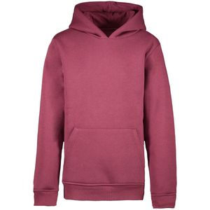 Cars Jeans Hoodie Kimar Jr. - Jongens