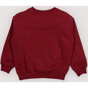 Logo sweater bordeauxrood sweaterlum Fantasy 8y
