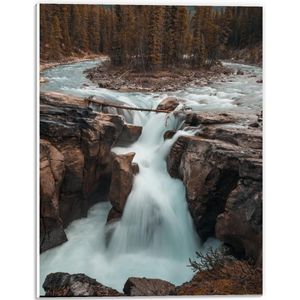 Forex - Watervallen in het Bos - 30x40cm Foto op Forex